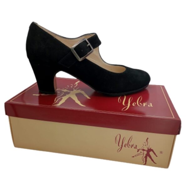 Zapatos de flamenco profesionales Alejandra Nº38 y 1/2