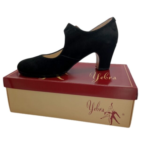 Zapatos de flamenco profesionales Alejandra Nº38 y 1/2