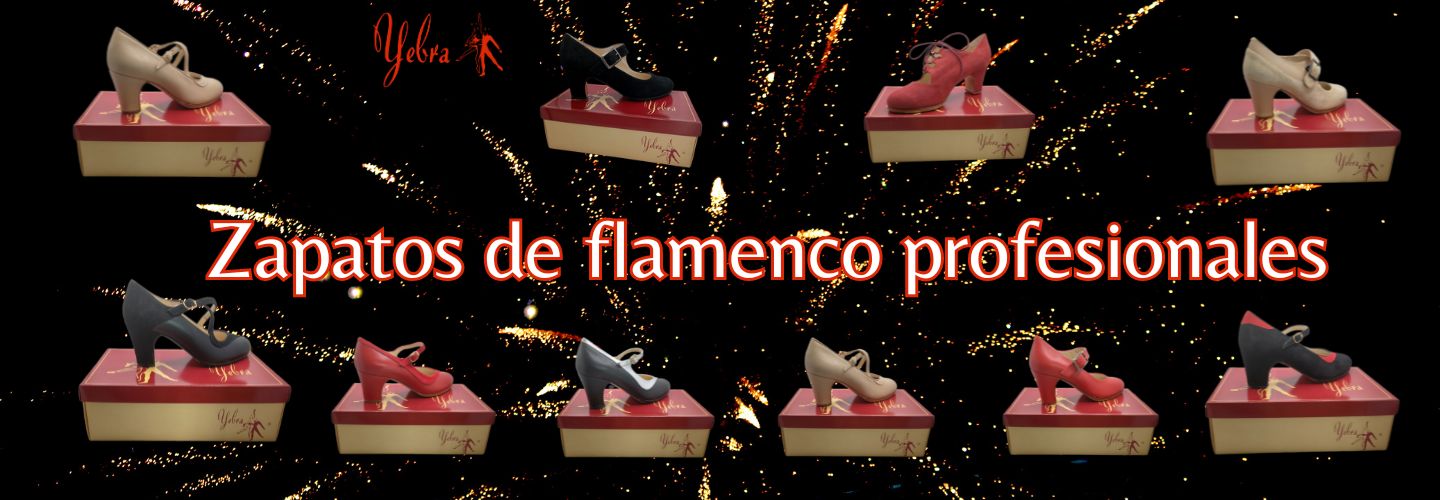 Zapatos de flamenco profesionales personalizados