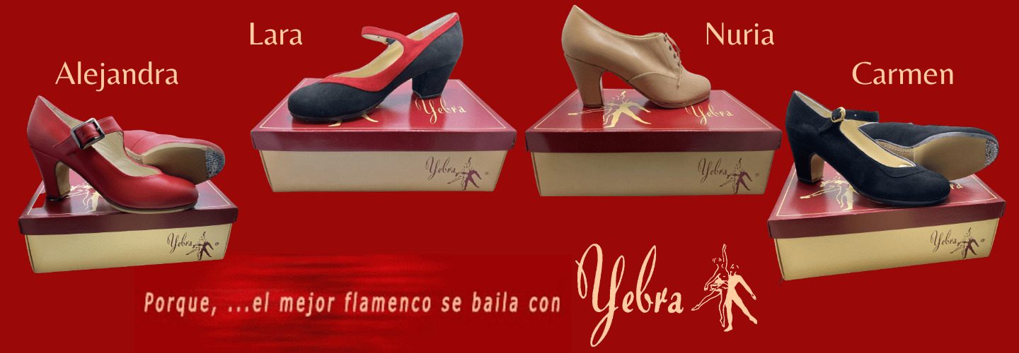 zapatos profesionales de flamenco